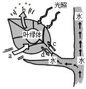 菁優(yōu)網(wǎng)