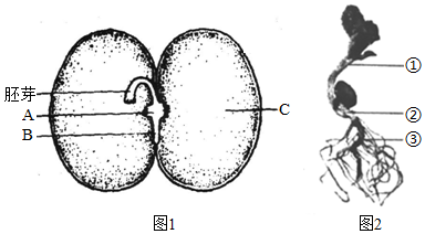 菁優(yōu)網