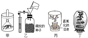 菁優(yōu)網(wǎng)