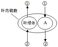 菁優(yōu)網(wǎng)