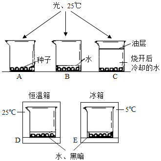 菁優(yōu)網(wǎng)