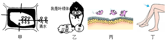 菁優(yōu)網(wǎng)