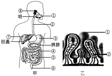 菁優(yōu)網(wǎng)