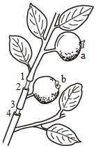 菁優(yōu)網(wǎng)