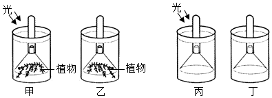 菁優(yōu)網