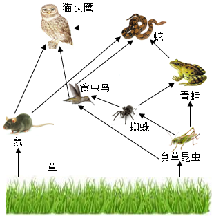 菁優(yōu)網