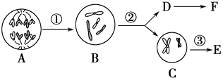 菁優(yōu)網(wǎng)