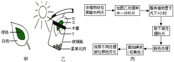 菁優(yōu)網