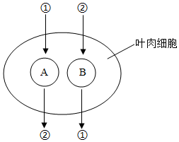 菁優(yōu)網(wǎng)