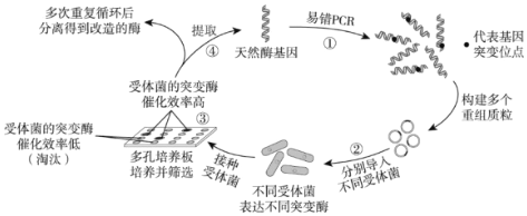 菁優(yōu)網