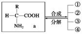 菁優(yōu)網