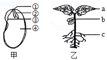 菁優(yōu)網(wǎng)