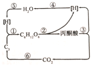 菁優(yōu)網(wǎng)