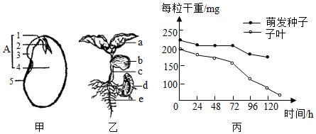 菁優(yōu)網