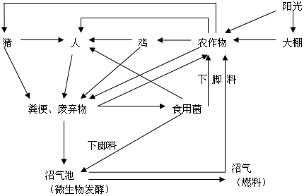 菁優(yōu)網(wǎng)