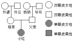 菁優(yōu)網