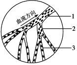 菁優(yōu)網(wǎng)