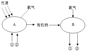 菁優(yōu)網(wǎng)