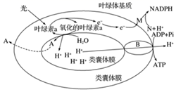 菁優(yōu)網(wǎng)