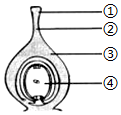 菁優(yōu)網(wǎng)