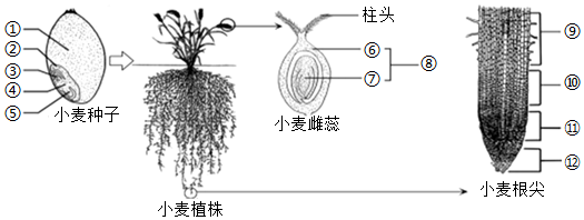 菁優(yōu)網