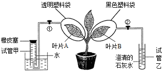 菁優(yōu)網(wǎng)