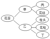 菁優(yōu)網(wǎng)