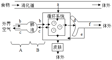 菁優(yōu)網