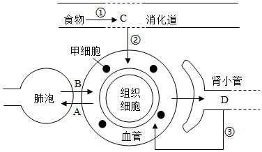 菁優(yōu)網(wǎng)