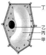 菁優(yōu)網(wǎng)