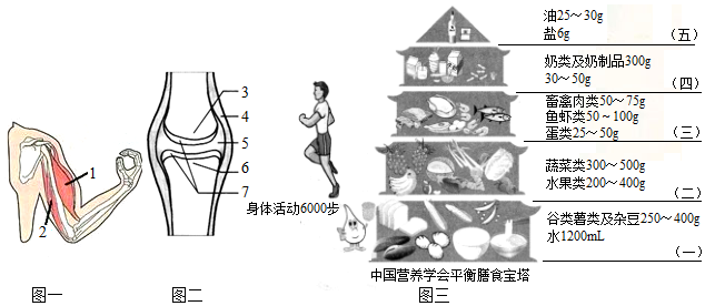 菁優(yōu)網