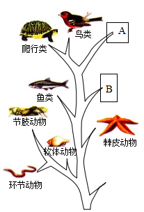 菁優(yōu)網