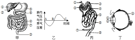 菁優(yōu)網(wǎng)