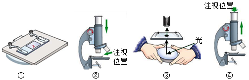 菁優(yōu)網