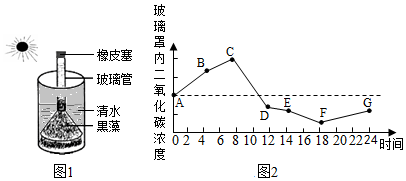 菁優(yōu)網(wǎng)