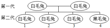 菁優(yōu)網