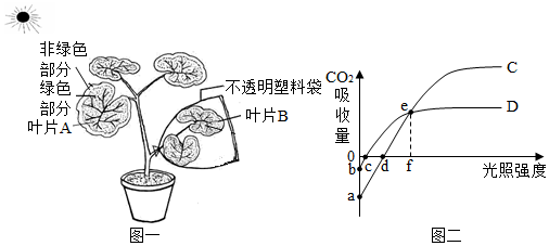 菁優(yōu)網