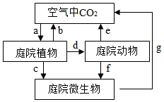 菁優(yōu)網(wǎng)