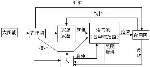 菁優(yōu)網