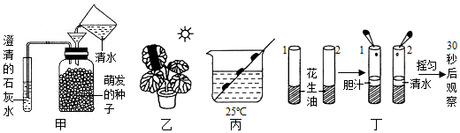 菁優(yōu)網(wǎng)