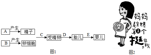 菁優(yōu)網