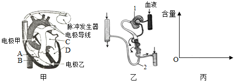 菁優(yōu)網(wǎng)