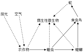 菁優(yōu)網(wǎng)