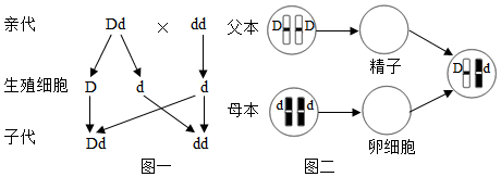 菁優(yōu)網