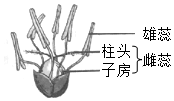 菁優(yōu)網(wǎng)