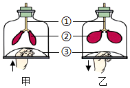 菁優(yōu)網(wǎng)