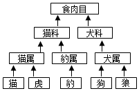 菁優(yōu)網