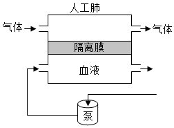 菁優(yōu)網