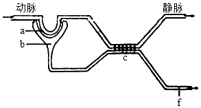 菁優(yōu)網