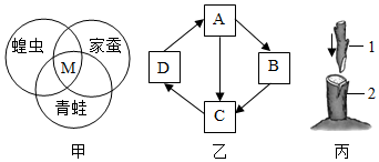 菁優(yōu)網(wǎng)